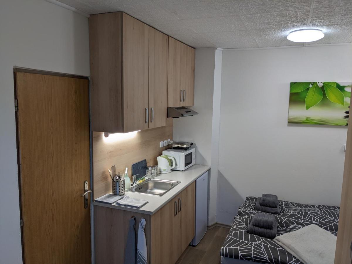 Utulne Studio U Marianskeho Udoli V Brne - Lisni Brno Exteriör bild